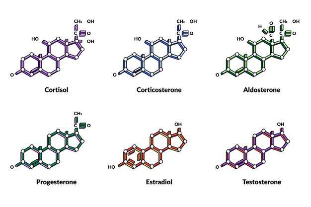Duloxetine amitriptyline interaction