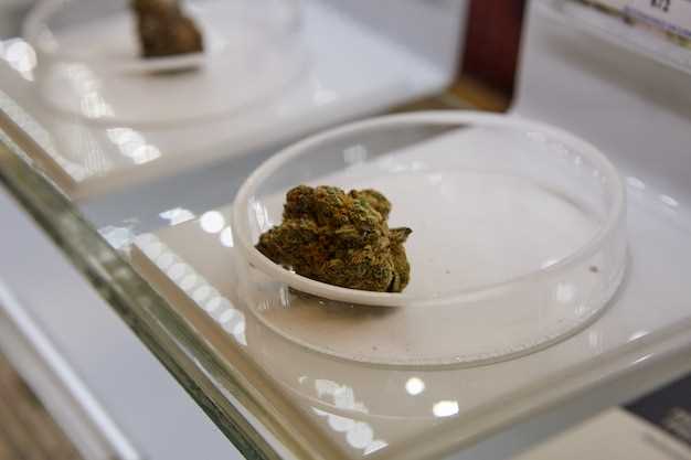 Duloxetine cannabis