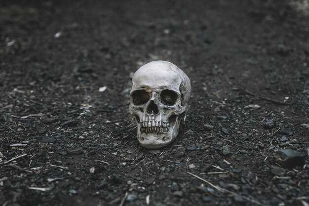 Duloxetine death