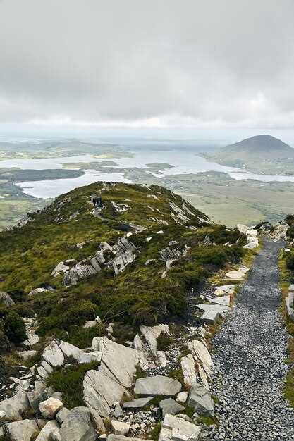 Duloxetine ireland